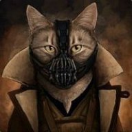 CrySisCat