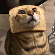 Danto