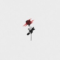 black rose