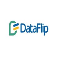 dataflip