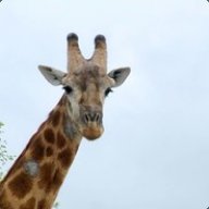zeo