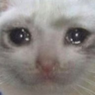 Michi el Triste