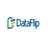 dataflip