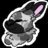 Usagi