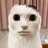 Dima