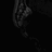 suninus